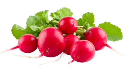 Close-up of vibrant red radishes with green leaves, cut and isolated on black