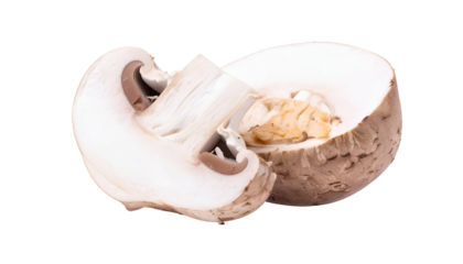 Close-up of a halved brown mushroom, showcasing the interior details against a dark background