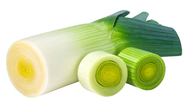 Close-up of sliced vegetable, showing stalk with green top and circular rings