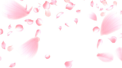 Pink Sakura Motion blur Soft shadows Ideal for sweet floral perfume advertising spring product packaging or romantic wedding themes feminine design