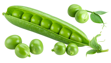 Close-up studio shot of a pod partially opened, revealing round green peas, with others scattered around