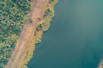 Aerial abstract of a natural lake boundary. Smooth, deep blue water contrasts sharply with the textured shore of reeds and scrub, creating a minimalist color block composition.