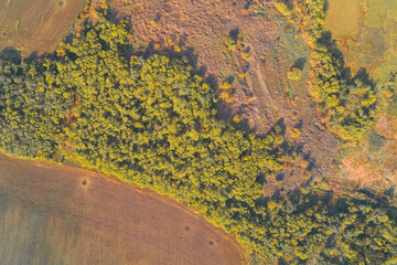 Aerial abstract of a natural boundary. Vibrant yellow forest meets tilled brown field along a smooth curved dividing line, illustrating the agriculture vs wild nature transition.