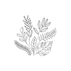 Minimalist botanical leaf line art
