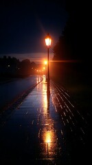 Night Street Lamp Post Reflection on Wet Pavement at Sunset