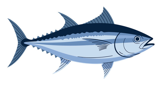Tuna Vector Illustration