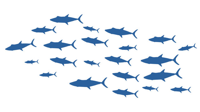 Tuna Vector Illustration