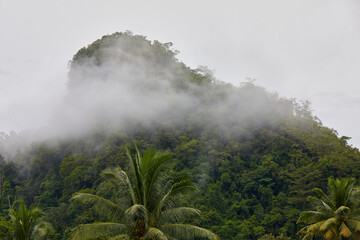 Scenic view of morning fog across mountain in rainy season © Cavan