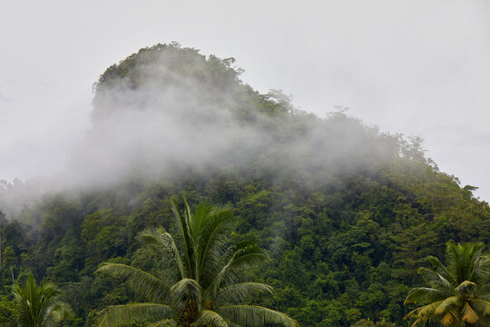 Scenic view of morning fog across mountain in rainy season