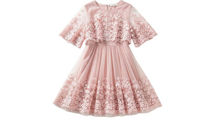 Elegant dusty rose lace dress for special occasion, formal event, or wedding wear isolated PNG with Transparent Background