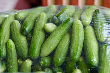 Fresh cucumbers in plastic bag package