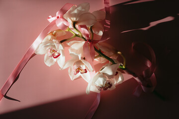 White orchids with pink ribbon on valentines day