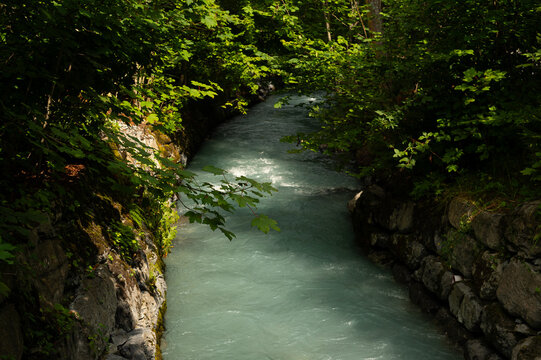 A fast-flowing, milky blue-green stream rushes through a narrow, dark rocky gorge surrounded by dense green forest foliage on a sunny day.