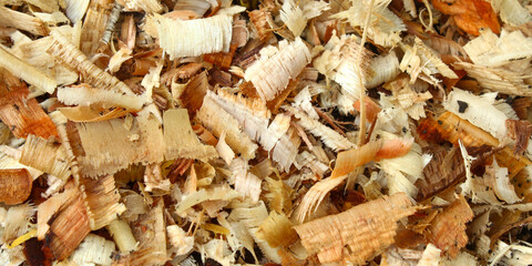 texture and background on pile of sawdust close up