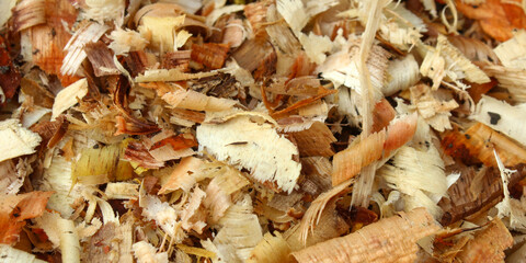 texture and background on pile of sawdust close up