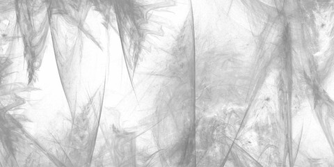 Abstract Chalkboard texture white background. gray smoke or fog isolated on white background. marble texture with natural pattern high resolution for wallpaper background or realistic, vector.