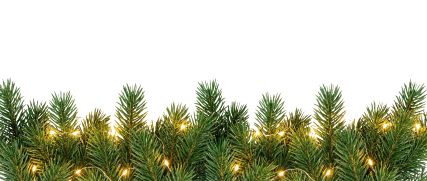 Horizontal festive border made of realistic green spruce branches adorned with warm lights, perfect for holiday-themed designs and decorations. Isolated on transparent background.