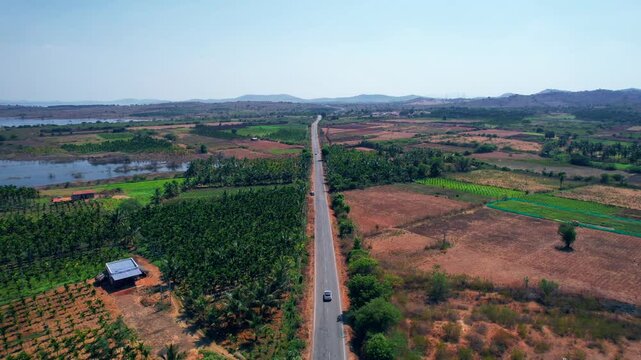 aerial view of the agriculture field