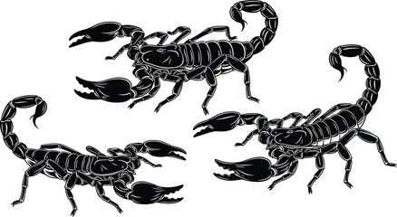 Scorpion silhouette vector illustration set, black insect icons, tribal tattoo style, fantasy creature designs, fierce graphic emblems, detailed artwork