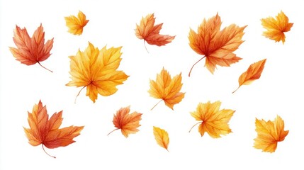 Watercolor illustration of autumn maple leaves in shades of gold and red