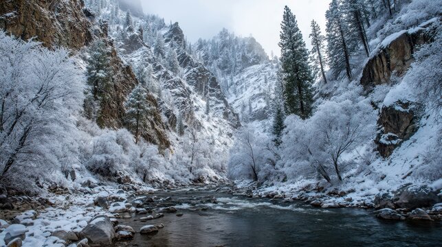 Snow covered trees and rocks line a flowing river through a steep canyon winter stream