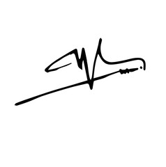 Overall Style and Form: The image features a highly stylized logo or signature, drawn with thick, flowing, connected lines, resembling calligraphy or artistic cursive.