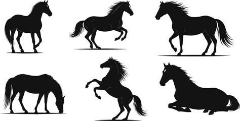 Collection of elegant horse silhouettes showing running, walking, rearing, grazing, and resting poses, detailed wild equine vector artwork for design projects