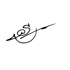 Overall Style and Form: The image features a highly stylized logo or signature, drawn with thick, flowing, connected lines, resembling calligraphy or artistic cursive.