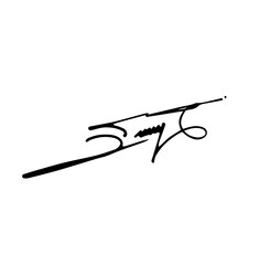 Overall Style and Form: The image features a highly stylized logo or signature, drawn with thick, flowing, connected lines, resembling calligraphy or artistic cursive.