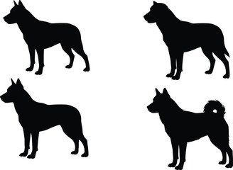 Silhouette collection of standing dogs in various poses, black domestic canine vector illustrations for pet design, animal graphic elements set