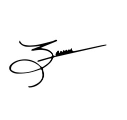 Overall Style and Form: The image features a highly stylized logo or signature, drawn with thick, flowing, connected lines, resembling calligraphy or artistic cursive.