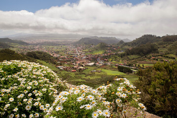 Vibrant flowers in the foreground with a breathtaking view of Tenerifes landscape and valleys
