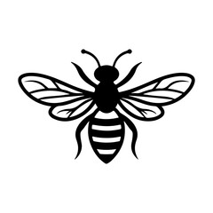 Fototapeta premium Black and White Illustration of a Stylized Bee with Detailed Wings and Striped Body