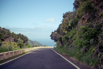 Serene coastal road in Tenerife, flanked by lush vegetation and breathtaking ocean views under a bright blue sky