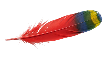 A close-up of a colorful feather, predominantly red with blue, yellow, and green accents