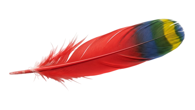 A close-up of a colorful feather, predominantly red with blue, yellow, and green accents