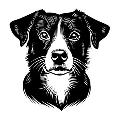 Black silhouette of a bird soaring against a gradient sky at sunset, with vivid colors creating a serene atmosphere.