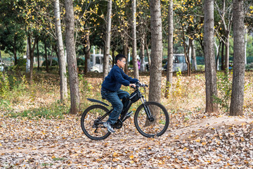 Naklejka premium A man is riding a bicycle in a park filled with fallen leaves, surrounded by trees.
