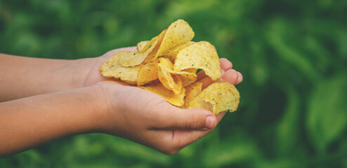Child's hands holding a handful of crispy, seasoned potato chips against a green background