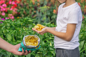 Child's hands taking a handful of potato chips from an open bag outdoors in summer