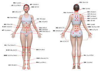 身体のツボ 日本人3Dモデル女性の図解イラスト 全身正面 後ろ姿のセット
