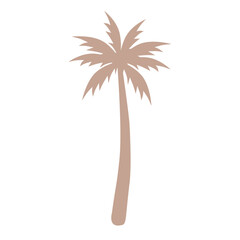 Palm Tree