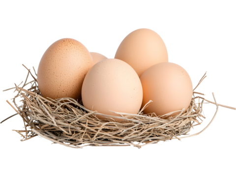 Group of eggs in nest isolated on transparent background. Perfect for Easter and organic farm design
