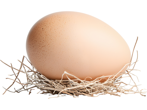 Egg in nest isolated on transparent background. Perfect for Easter, nature, and organic food design.