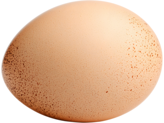 Brown egg isolated on transparent background. Ideal for organic food and minimal Easter design.