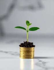 Small plant growing out of a coin, on marble surface, symbol of investment and growth, clean background