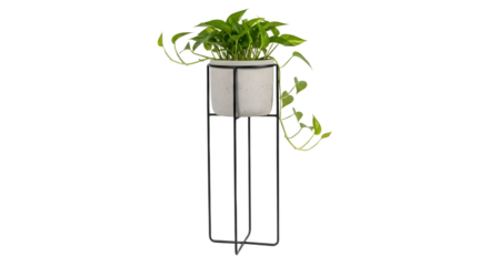 Isolated Potted Golden Pothos Plant on Black Metal Stand Against a Plain White Background, Minimalist Indoor Decor Arrangement