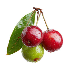 Surinam cherry