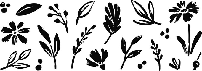 botanical, floral, leaves, flowers, branches, berries, ink, brush stroke, black and white, silhouette, nature, organic, design, element, graphic, drawing, sketch, artistic, simple, minimalist, isolate © Baizid