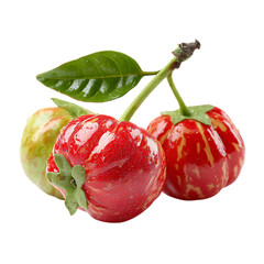 Surinam cherry